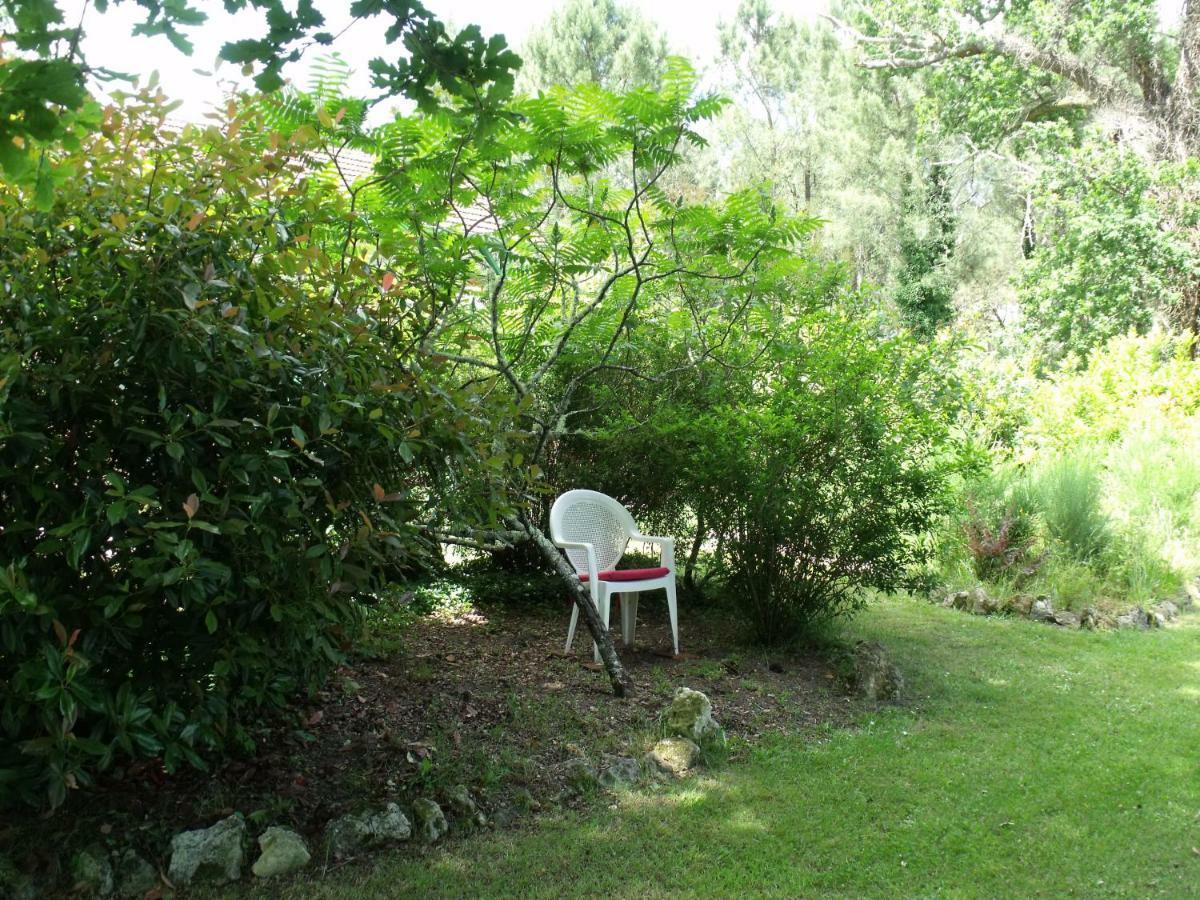 Bed and Breakfast Les Hôtes Landes à Saint-Gor Extérieur photo