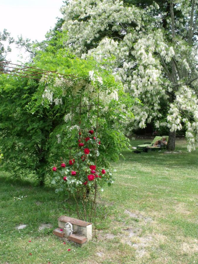 Bed and Breakfast Les Hôtes Landes à Saint-Gor Extérieur photo