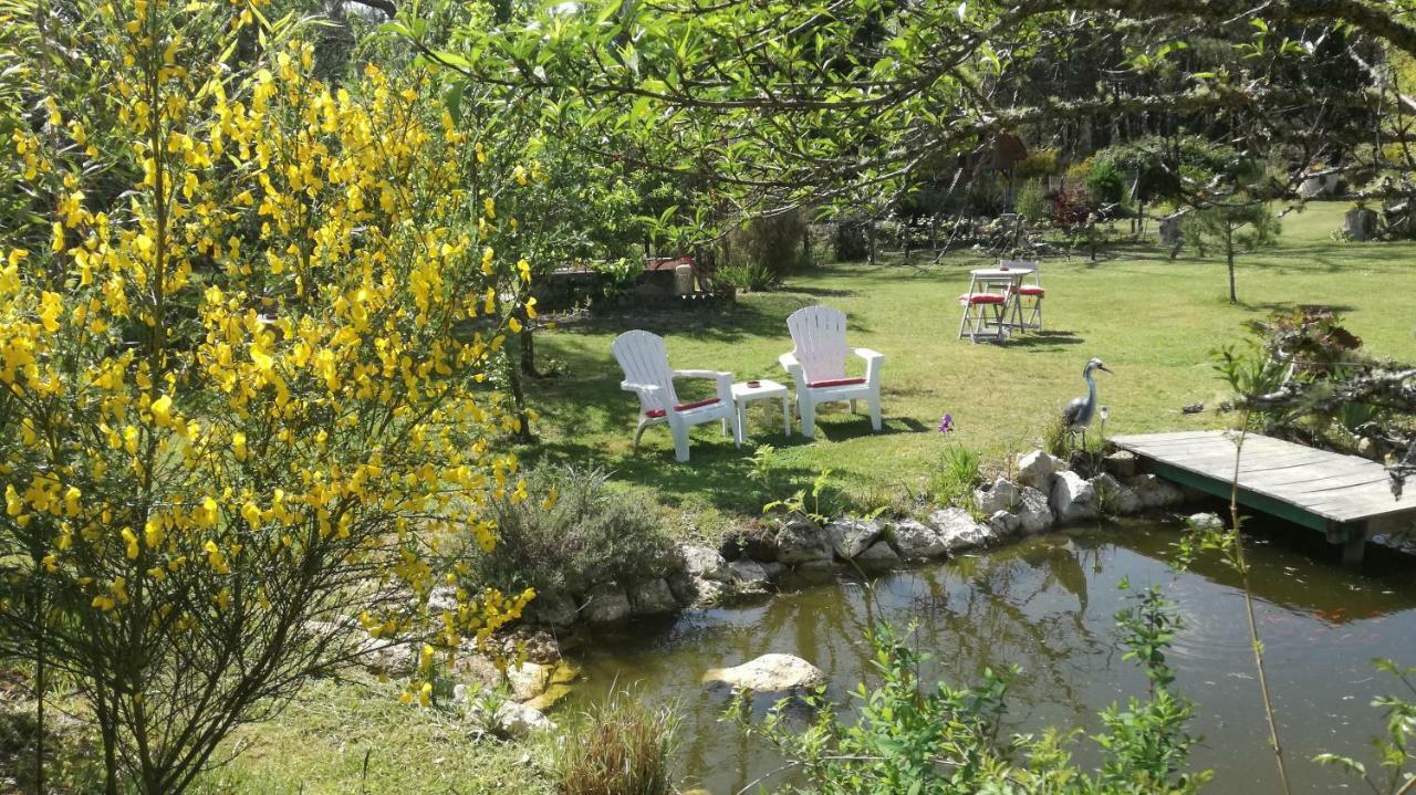 Bed and Breakfast Les Hôtes Landes à Saint-Gor Extérieur photo