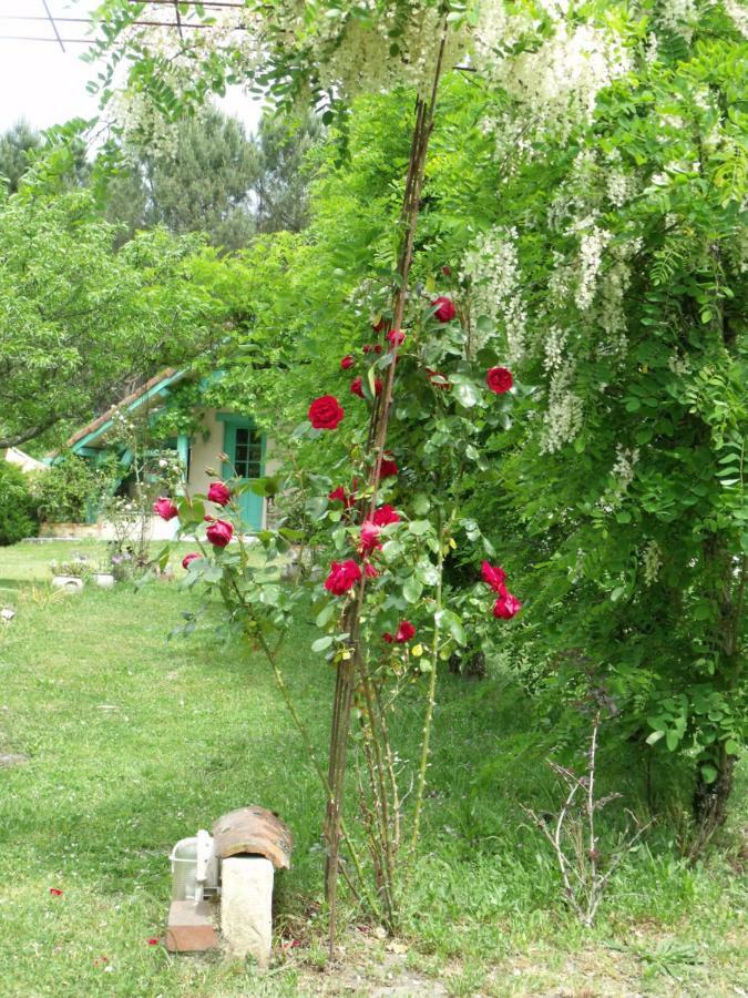 Bed and Breakfast Les Hôtes Landes à Saint-Gor Extérieur photo